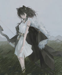 lunacub (arknights) from arknights