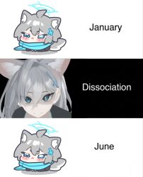 shiroko (blue archive) from blue archive