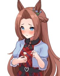 kawakami princess (umamusume) from umamusume