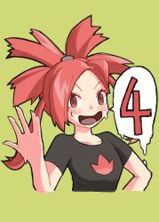 flannery (pokemon) from pokemon