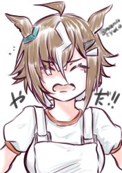 rulership (umamusume) from umamusume by namatyoco