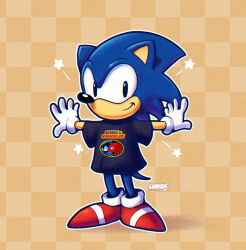 sonic the hedgehog from sonic & knuckles