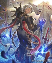 shadowverse fan art