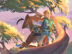 link from the legend of zelda by melay (khrssc)