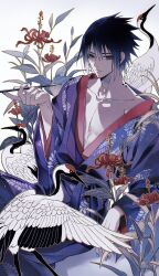 uchiha sasuke from naruto (series)