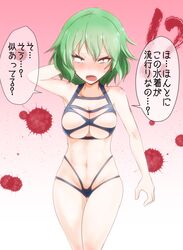 kazami yuuka from touhou by takorice