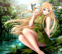 deedlit from record of lodoss war by satochi (1122)