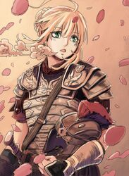 centurion from fate/stay night by drawfag
