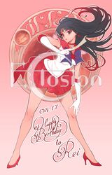 hino rei from bishoujo senshi sailor moon by eclosion