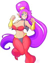 shantae (character) from shantae