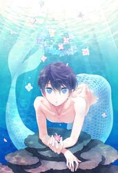 nanase haruka (free!) from free! by apress