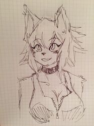 polt from monster musume no iru nichijou by drawfag