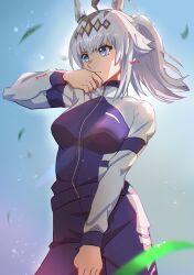 oguri cap (umamusume) from umamusume