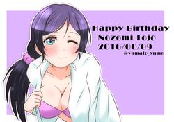 toujou nozomi from love live! school idol project
