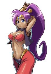 shantae (character) from shantae by tak (takumi fortitude)