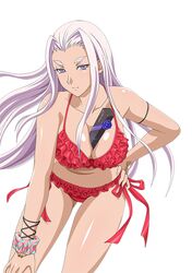 ikkitousen fan art