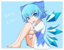 cirno from touhou by shikabane homura
