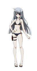 laura bodewig from infinite stratos