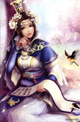 shin sangoku musou fan art