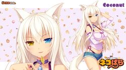 nekopara fan art