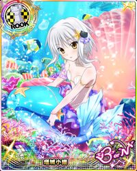 toujou koneko from high school dxd