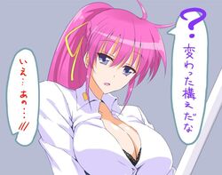 signum from lyrical nanoha by shinki (shinki59)