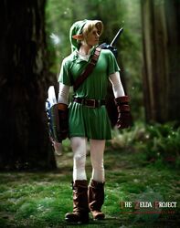 link from the legend of zelda