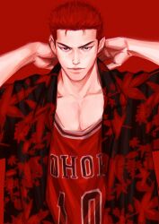 sakuragi hanamichi from slam dunk (series)