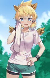 puzzle & dragons fan art