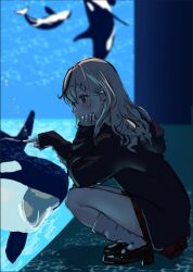 sakamata chloe from hololive