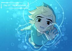 link from the legend of zelda