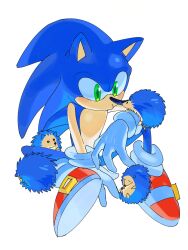 sonic the hedgehog from sonic (series) by tokiwa757