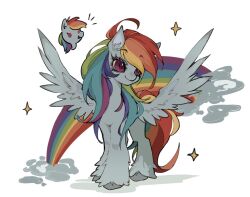 rainbow dash from my little pony