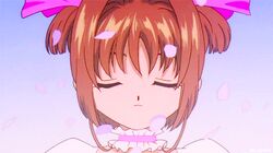 kinomoto sakura from card captor sakura by clamp
