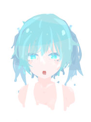 hatsune miku from vocaloid