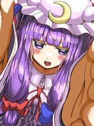 patchouli knowledge from cookie (touhou)