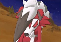 lycanroc from pokemon