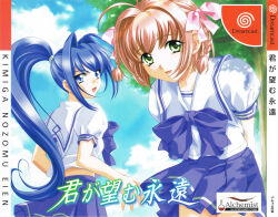 hayase mitsuki from kimi ga nozomu eien