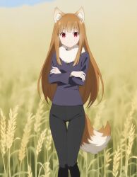 holo from spice and wolf