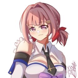 assault lily fan art