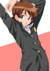 sagara seiji from happinesscharge precure!