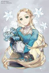 princess zelda from the legend of zelda by ashi