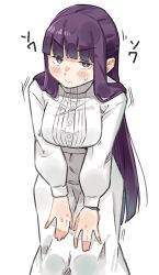 fern (sousou no frieren) from sousou no frieren