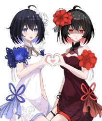 seele (alter ego) from honkai (series)