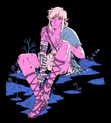 link from the legend of zelda