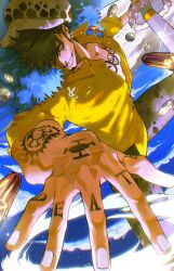 trafalgar law from one piece