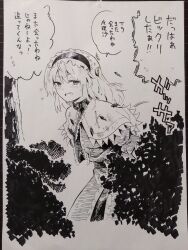 alice margatroid from touhou by shundou heishirou