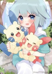 minun from pokemon