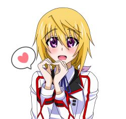charlotte dunois from infinite stratos