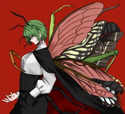 wriggle nightbug from touhou